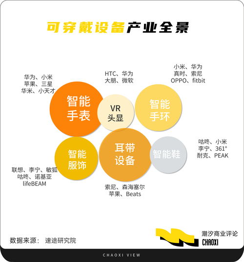 左手手表，右手戒指 这届科技中产的钱，究竟该花在哪只手上？